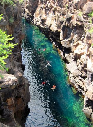 students swimming in Las Grietas on Isla San Santa Cruz