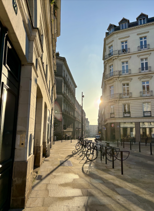 Megan P. • Sewanee: The University of the South