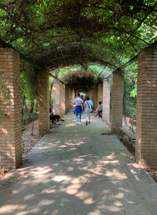 Brick path under vine-covered arches, people walking and sitting. This alt text was added with Al; accuracy may vary.