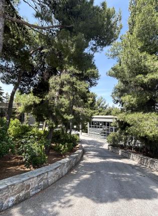 Tree-lined path with stone walls under a clear sky. This alt text was added with Al; accuracy may vary.
