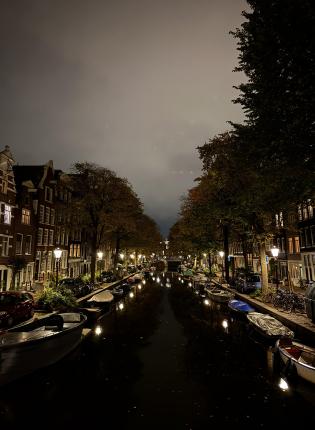 A river with trees and sidewalk to its sides at night