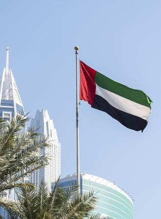 UAE flag and palm trees