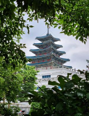 A view of a Korean pagoda temple through tree. 