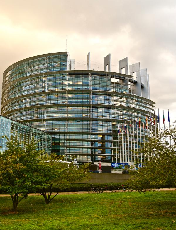 A tall glass building sitting on a manicured lawn on a cloudy day. This is the Parliament building in Strasbourg.