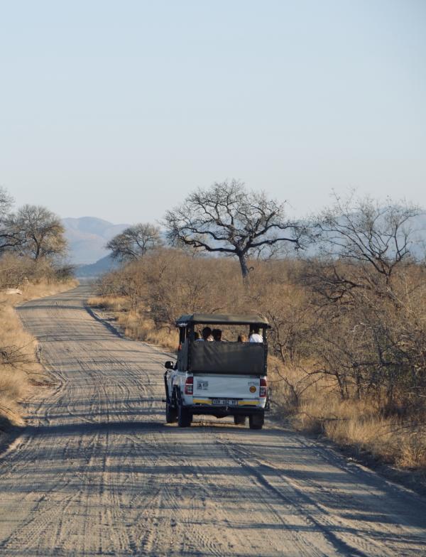 Students drive through Kruger National Park in South Africa.