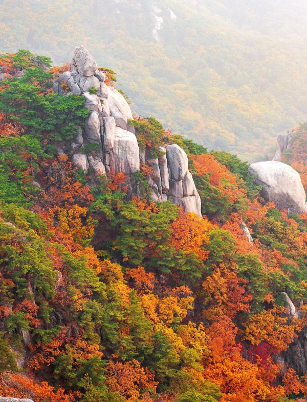 A view of moutains in South Korea in autumn