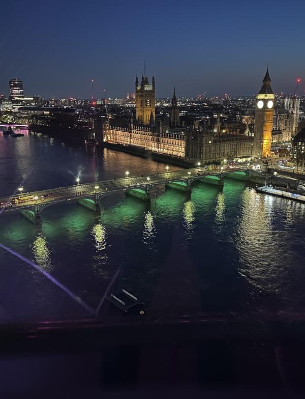 London A View From the London Eye• Gabriella Risk