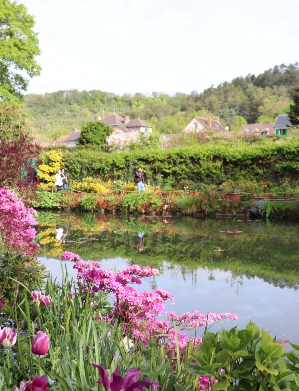 Giverny lilly pond with pink flowers and willow tree