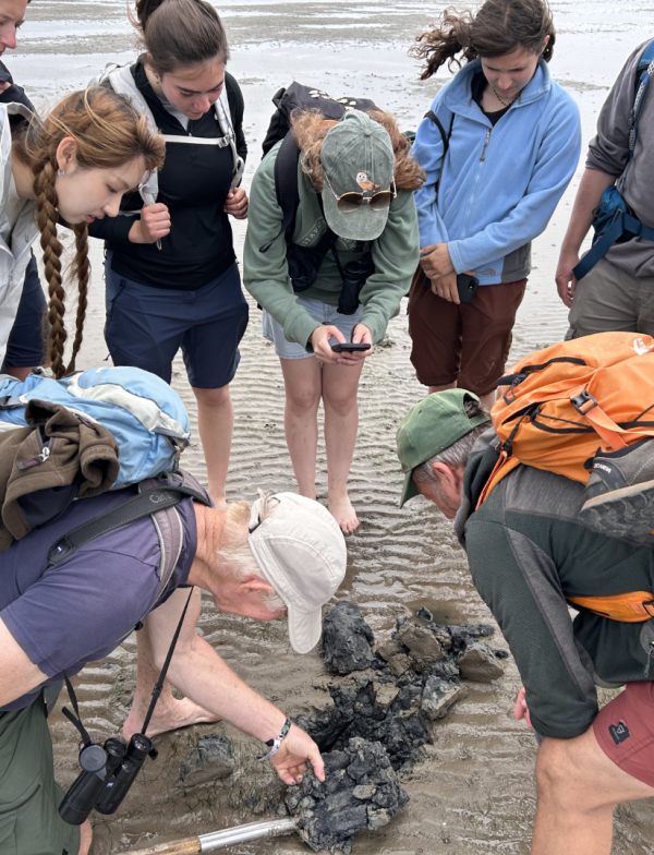 Students in the Wadden Sea examining low tide.