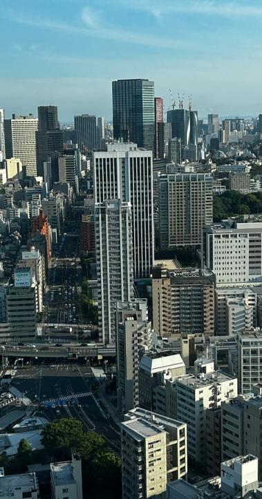 Buildings and skyscrapers in Tokyo in front of a blue sky
