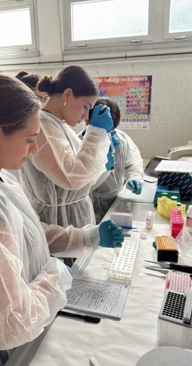 Students working on Biomedical Research in a hospital in Siena