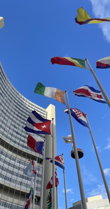 Flags outside of the UN in Vienna, Austria.