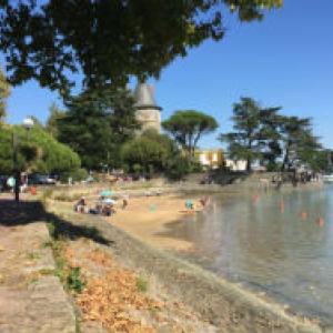 Beach with trees, people sunbathing, and a riverside pathway. This alt text was added with Al; accuracy may vary.