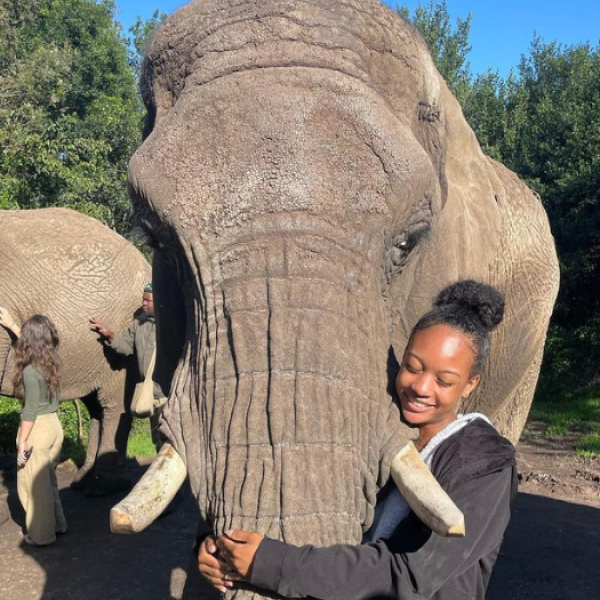 Christian hugging an elephant