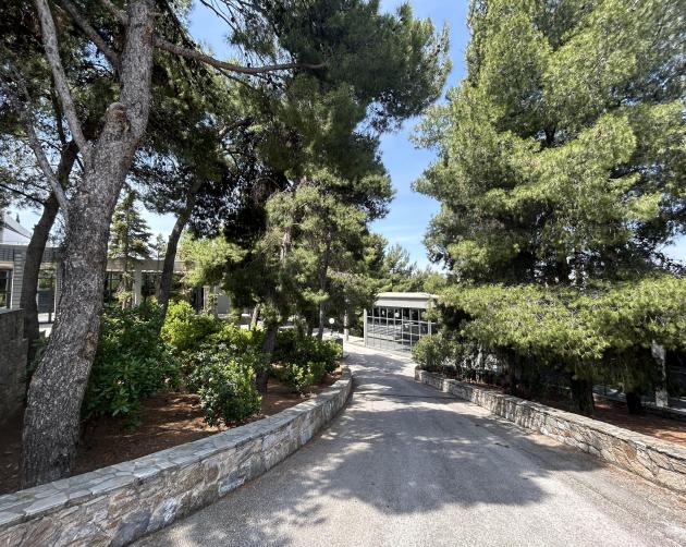 Tree-lined path with stone walls under a clear sky. This alt text was added with Al; accuracy may vary.