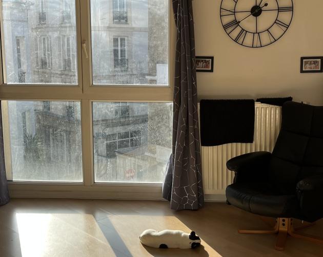 View of Paris homestay living room with large window and cat