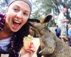 wallaby kisses