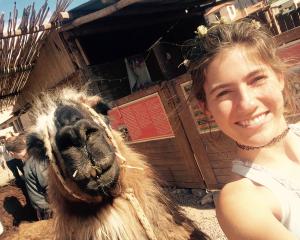 Smiling person with a llama in a sunny outdoor setting. This alt text was added with Al; accuracy may vary.