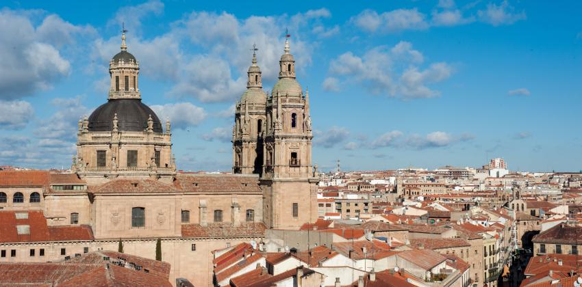 the New Cathedral of Salamanca