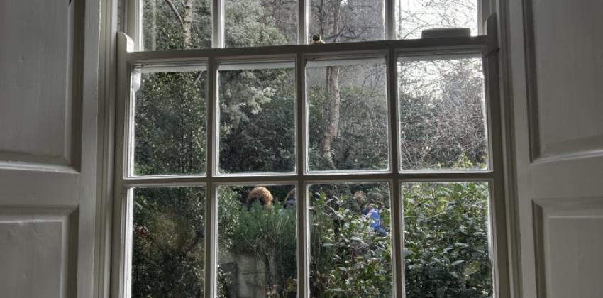 Marsh's Library window