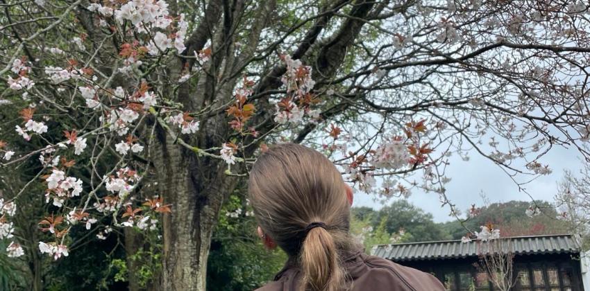 Kissing flowers 