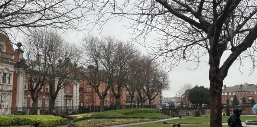 View of St. Patrick's Park