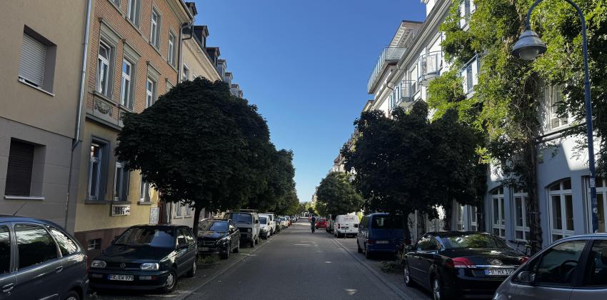 A street with trees and cars