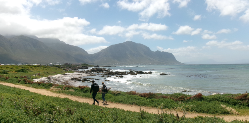 Beautiful coast at Stony Point Penguin Colony. 