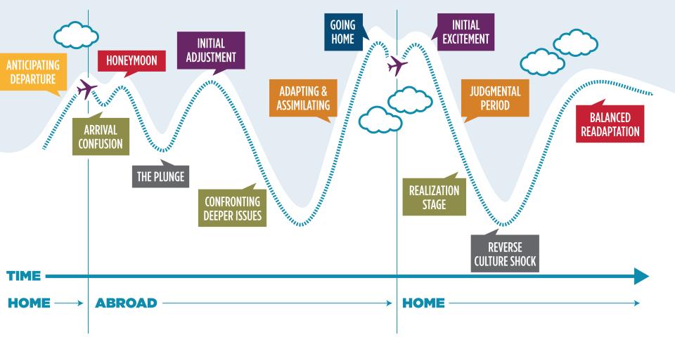 a graphic showing the Stages of Transition for studying abroad