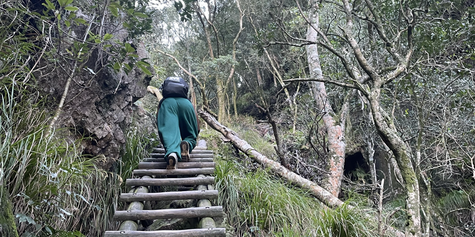 Image showing a person climbing a ladder on a hiking trail.