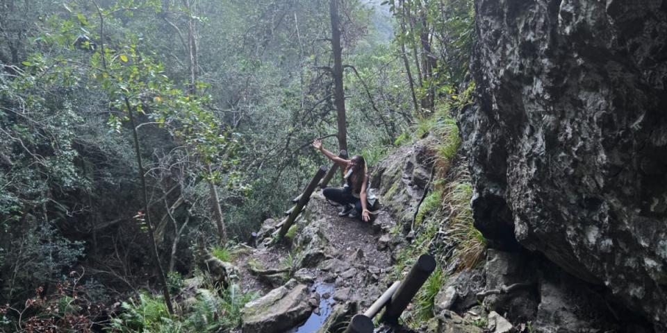 Image taken on the hiking trail in the lush forest with the sun setting in the background. 