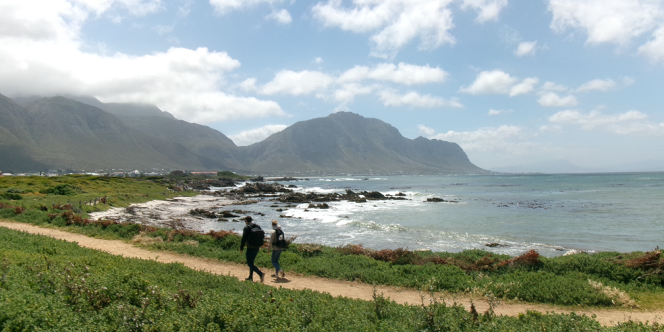 Beautiful coast at Stony Point Penguin Colony. 